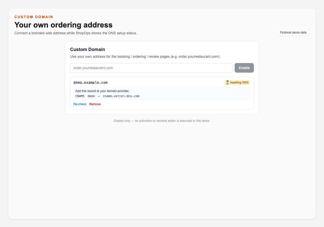 English demo domain screen showing the fictional address demo.example.com.